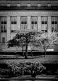 Vertical The Indianapolis Main Post Office and Court House black and white Photography
