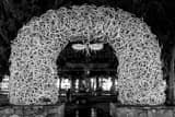 Horizontal The Elk Antler Arch at Night black and white Photos