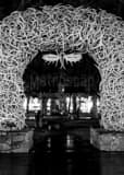 Vertical The Elk Antler Arch at Night black and white Photos
