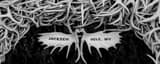 Panoramic The Elk Antler Arch in Jackson Hole Wyoming black and white Photos