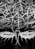 Vertical The Elk Antler Arch in Jackson Hole Wyoming black and white Photos