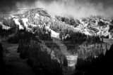 Horizontal The First Snowfall of the Season in Jackson Hole black and white Photos
