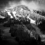 Square The First Snowfall of the Season in Jackson Hole black and white Photos