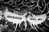 Horizontal Jackson Hole Antler Arch black and white Photos
