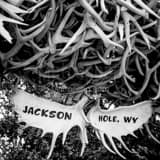 Square Jackson Hole Antler Arch black and white Photos
