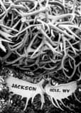 Vertical Jackson Hole Antler Arch black and white Photos