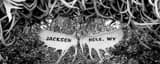 Panoramic The Jackson Hole Wyoming Antler Arch landscape black and white Photography