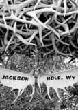 Vertical The Jackson Hole Wyoming Antler Arch landscape black and white Photography