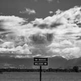 Square Moose Wyoming Sign black and white Photos