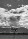 Vertical Moose Wyoming Sign black and white Photos