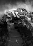 Vertical The Jackson Hole Mountain Resort Tram Ascends Rendezvous Mountain black and white Photos