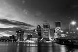 Horizontal The Jacksonville Skyline black and white Photos