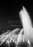 Vertical The Jacksonville Skyline at Night with the Friendship Fountain black and white Photos