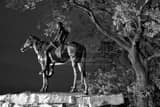 Horizontal The Scout Statue in Penn Valley Park black and white Photos