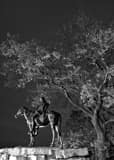 Vertical The Scout Statue in Penn Valley Park black and white Photos