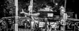 Panoramic Bos Fishwagon at Night black and white Pictures