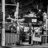 Square Bos Fishwagon at Night black and white Pictures