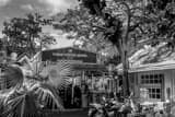 Horizontal Cuban Coffee Queen Photography