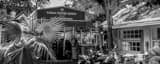 Panoramic Cuban Coffee Queen Photography