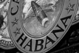 Horizontal A Habana Cigars Mural Photography