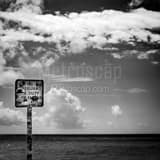 Square No Lifeguard on Duty Sign Photography