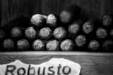 Horizontal Robusto Cigars black and white Photography