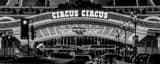 Panoramic The Entrance to Circus Circus Framed Photos