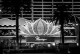Horizontal The Main Entrance to the Flamingo Hotel and Casino Flanked by Palm Trees Photography