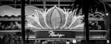 Panoramic The Main Entrance to the Flamingo Hotel and Casino Flanked by Palm Trees Photography