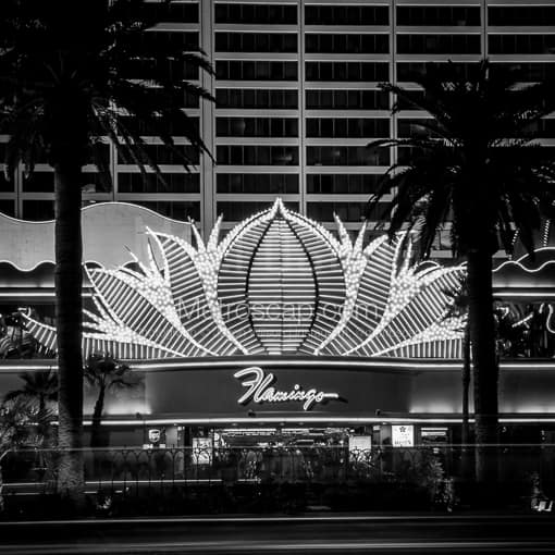 Las Vegas Black and White Photos of The Main Entrance to the Flamingo Hotel and Casino Flanked by Palm Trees The Main Entrance to the Flamingo Hotel and Casino Flanked by Palm Trees -- Las Vegas Black and White Photos