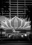 Vertical The Main Entrance to the Flamingo Hotel and Casino Flanked by Palm Trees Photography