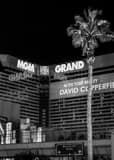 Vertical The MGM Grand Framed Photos