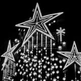 Square Neon Stars on the Riviera Sign Framed Photos