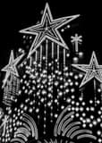 Vertical Neon Stars on the Riviera Sign Framed Photos