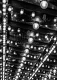 Vertical Lights Under the Riviera Framed Photos