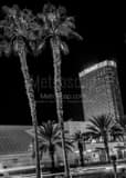 Vertical The Trump Hotel in Las Vegas Framed Photos