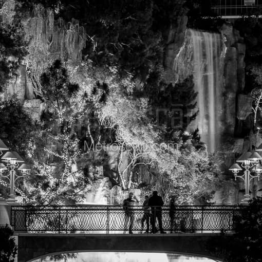 The Wynn Waterfall at Night -- Las Vegas Black and White Photography