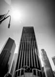 Vertical The Bank of America and US Bank Buildings in Downtown Los Angeles landscape black and white Photography