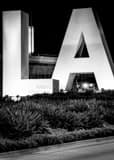 Vertical L A landscape black and white Photography