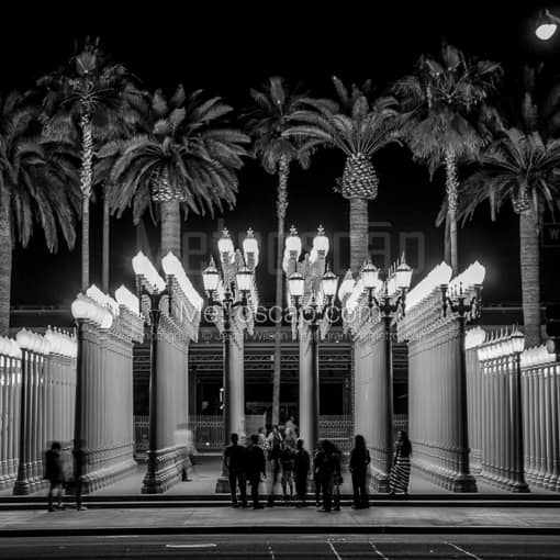 LACMA Lamps at Night -- Los Angeles Black and White Photos