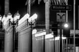 Horizontal The LACMA Lamps on Wilshire Blvd landscape black and white Photography