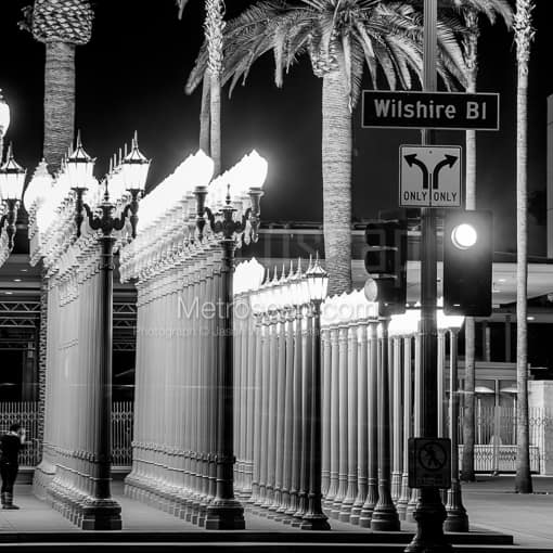 The LACMA Lamps on Wilshire Blvd -- Los Angeles Black and White Photos