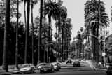 Horizontal Beverly Drive at Sunset Blvd and Crescent landscape black and white Photography