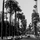 Square Beverly Drive at Sunset Blvd and Crescent landscape black and white Photography