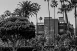 Horizontal The Beverly Hills Hotel Framed Photos