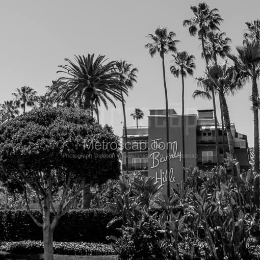 The Beverly Hills Hotel -- Los Angeles Black and White Photos