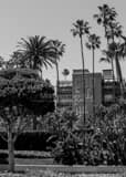 Vertical The Beverly Hills Hotel Framed Photos