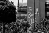 Horizontal The Beverly Hills Hotel and Tropical Foliage landscape black and white Photography