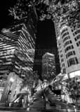 Vertical The Citigroup Building and BoA Building from Fifth Street landscape black and white Photography