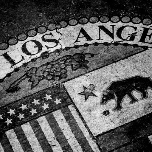 The Los Angeles Seal -- Los Angeles Black and White Photos